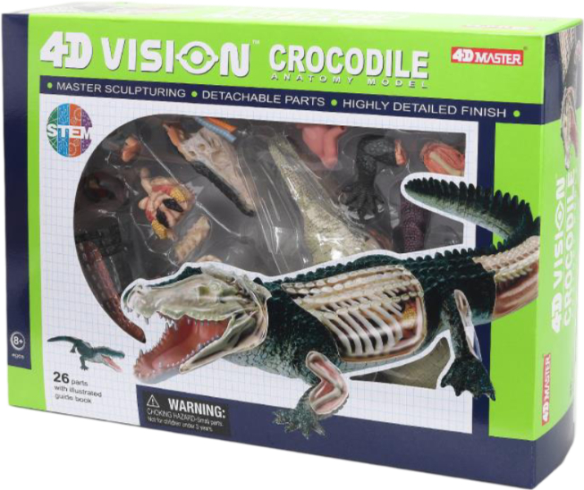 Набор для исследования 4D Master Крокодил (FM-622034) - Фото 1