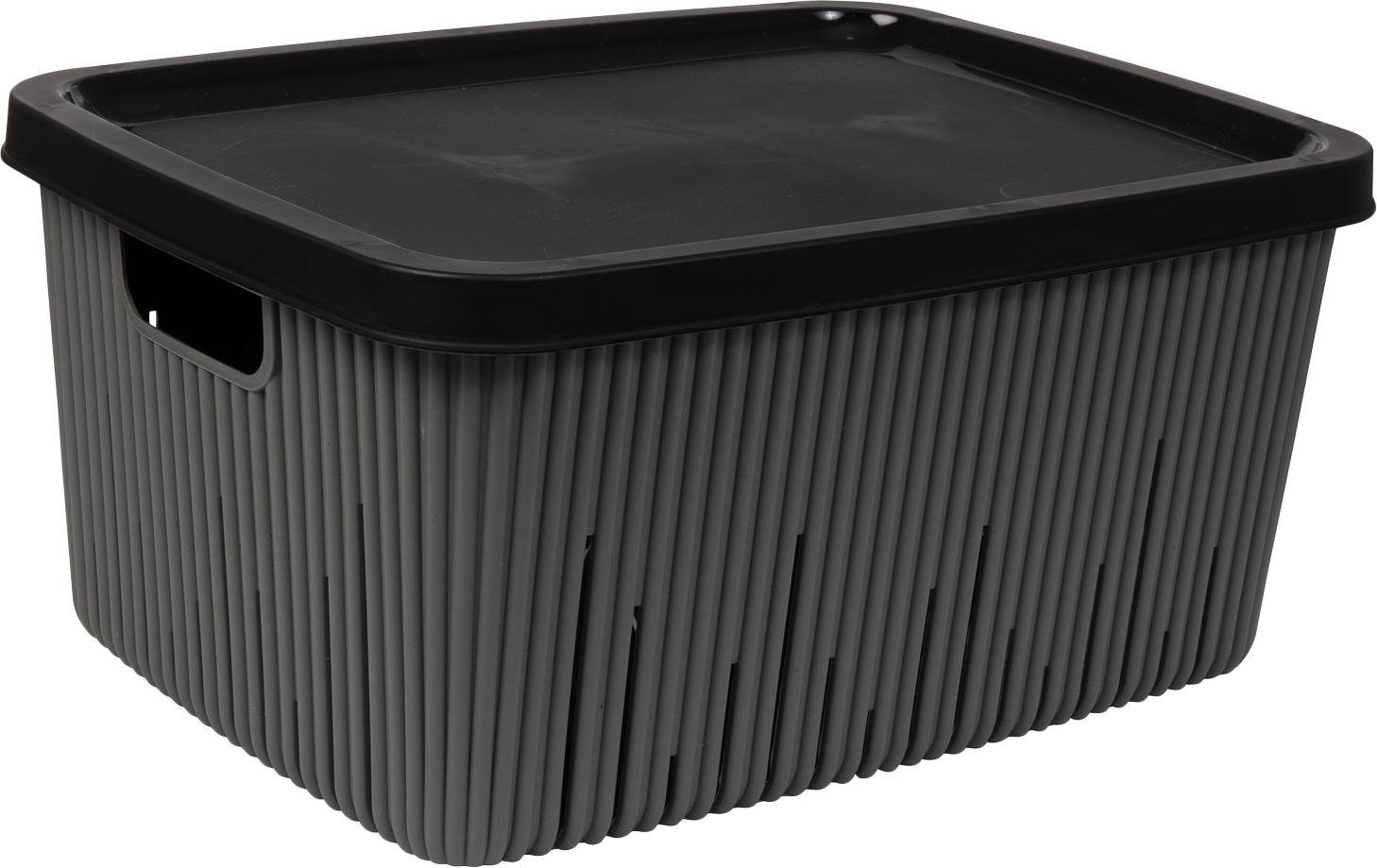 Купити Корзина для зберігання Herevin Grey 18 л (161383-012) - Фото 1 Корзина для зберігання Herevin Grey 18 л (161383-012) - Фото 1