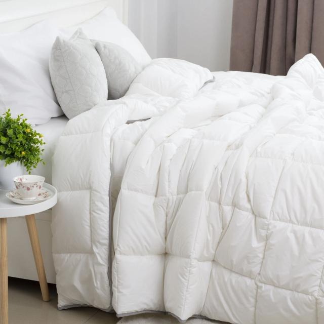 Одеяло всесезонное двуспальное евро ТЕП COTE BLANC SILK 200х210 см (1-00187_00000)