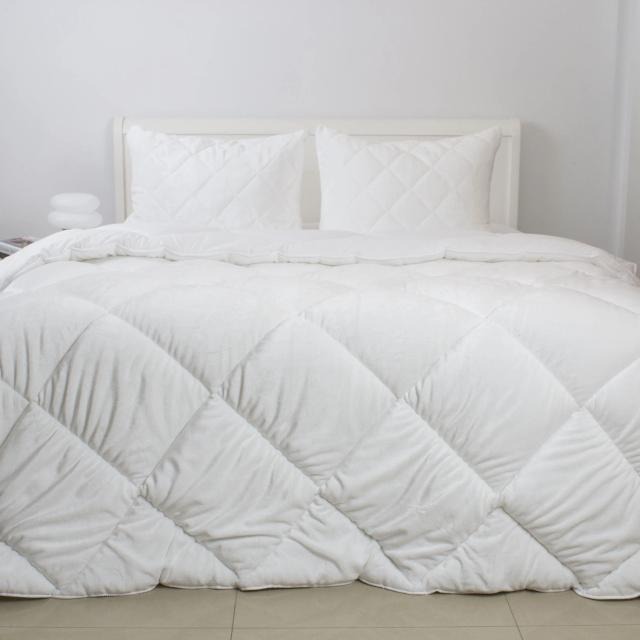 Ковдра демісезонна полуторна ТЕП WHITE TEDDY 150х210 см (1-05204_00000) - Фото 1