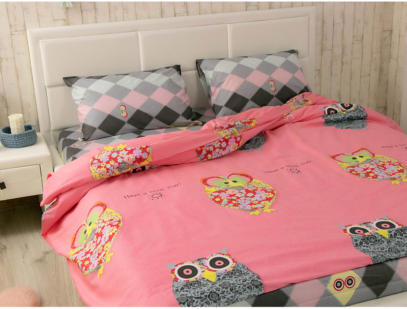 Комплект постельного белья Руно Owl сатин (845.137К_Owl) - Фото 1
