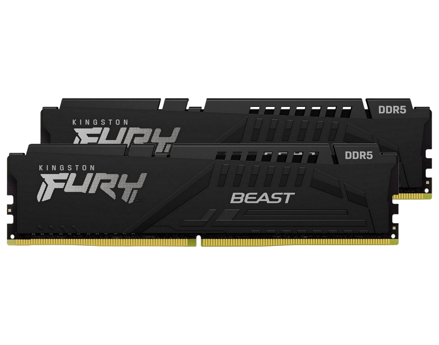 Память DDR Kingston 16GB DDR5 CL36 DIMM FURY Beast Black EXPO (KF560C36BBEK2-16) - Фото 1