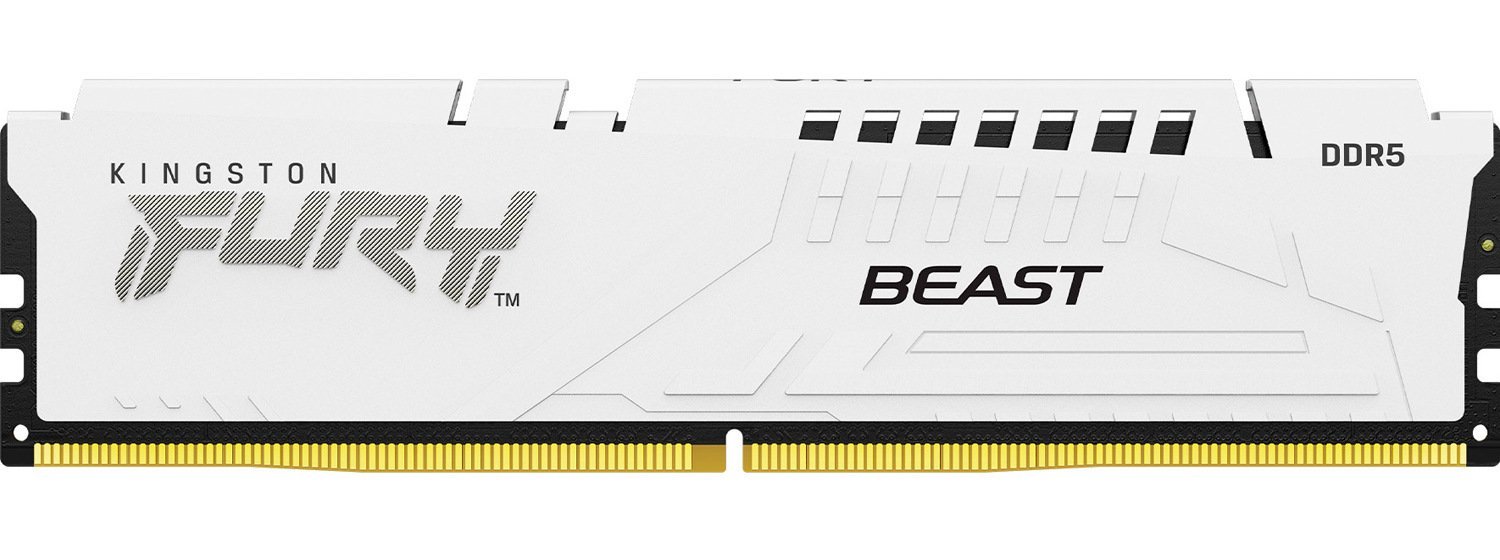 Память DDR Kingston Fury Beast White DDR5 32GB/5600 (KF556C40BW-32) - Фото 1