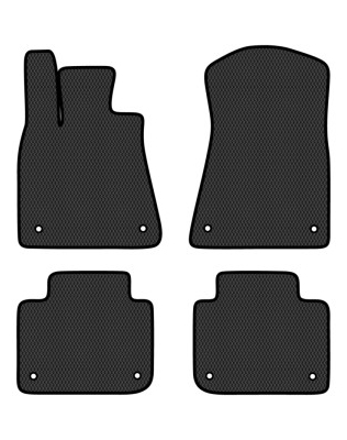 EVA коврики в салон авто EVAtech для GS (L10) 2WD Lexus 2011-2020 4 поколение Sedan EU LS21659P4TL8RBB - Фото 1