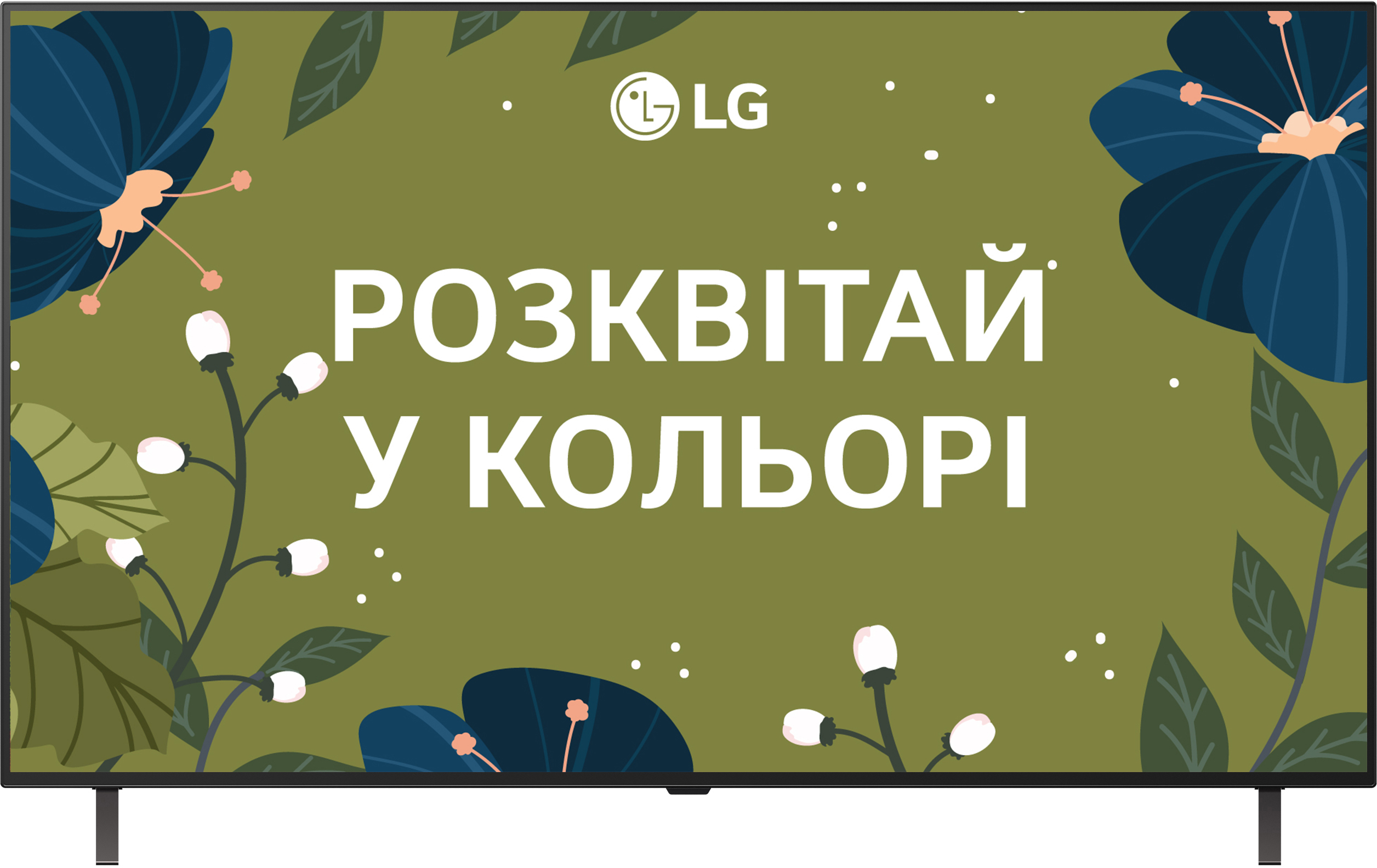 Телевізор LG OLED48B56LA