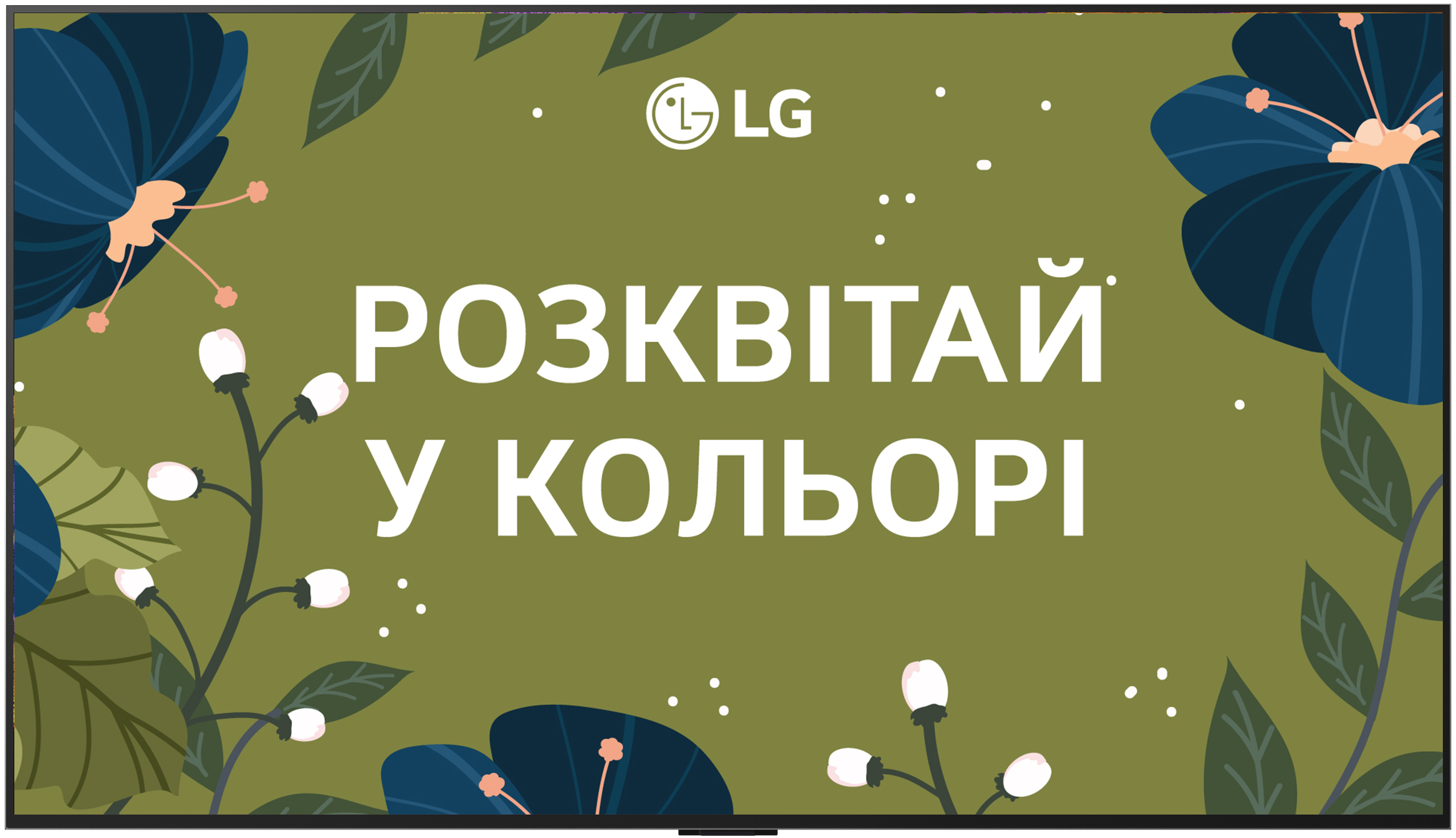 Телевізор LG OLED55G54LW