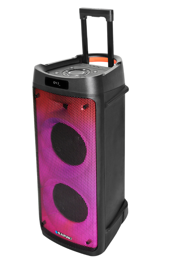 Акустическая система Blaupunkt PB08DB - Фото 1