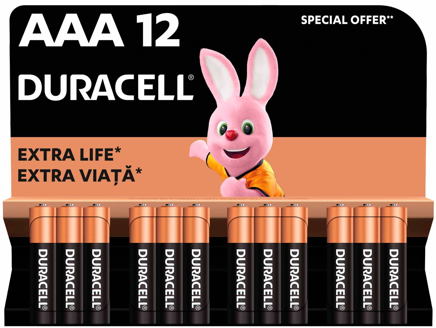 Батарейка тип AAA Duracell MN2400 (LR03 ) 12 шт - Фото 1