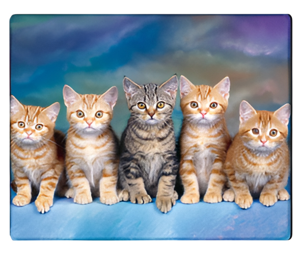 Коврик для мыши Voltronic Five Cats (YT-CAT30) - Фото 1