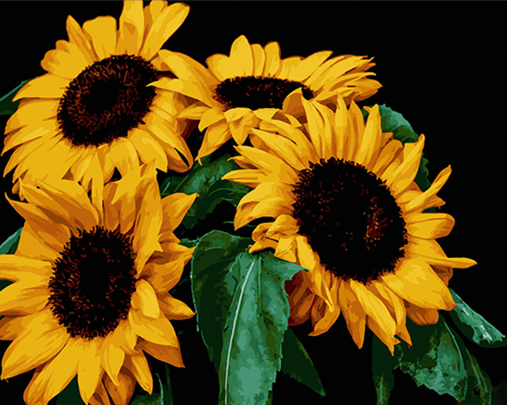 Купить Картина по номерам Strateg Подсолнухи на черном фоне 40х50 см (AH1049) - Фото 1 Картина по номерам Strateg Подсолнухи на черном фоне 40х50 см (AH1049) - Фото 1