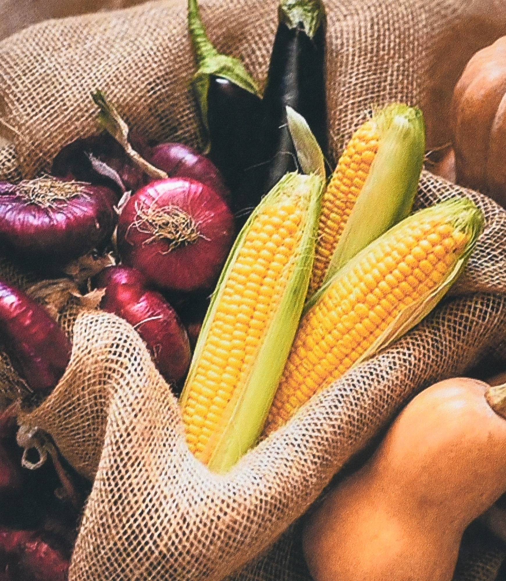 Алмазний живопис Strateg Плоди праці 40х50 см (SK88270) - Фото 1