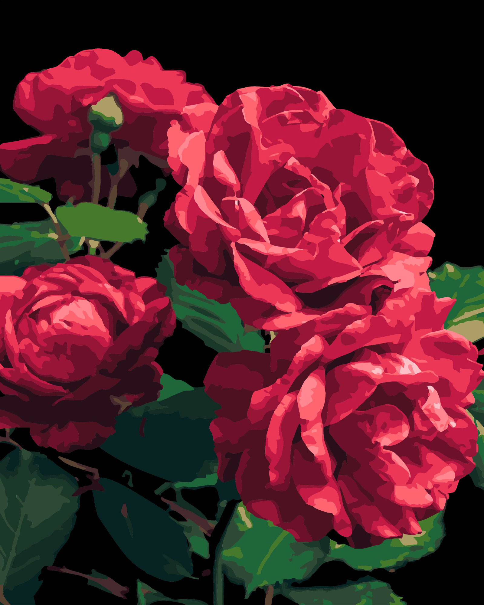 Купить Картина по номерам Strateg Розы на черном фоне 40х50 см (AH1187-18) - Фото 1 Картина по номерам Strateg Розы на черном фоне 40х50 см (AH1187-18) - Фото 1