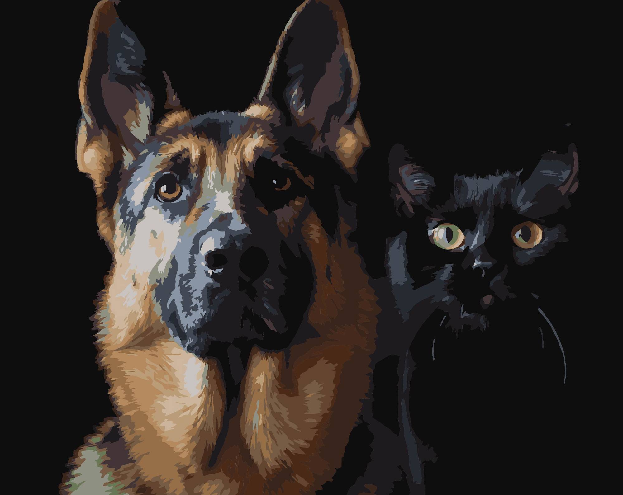 Картина по номерам Strateg Немецкая овчарка и черный кот 40х50 (AH1297) - Фото 1