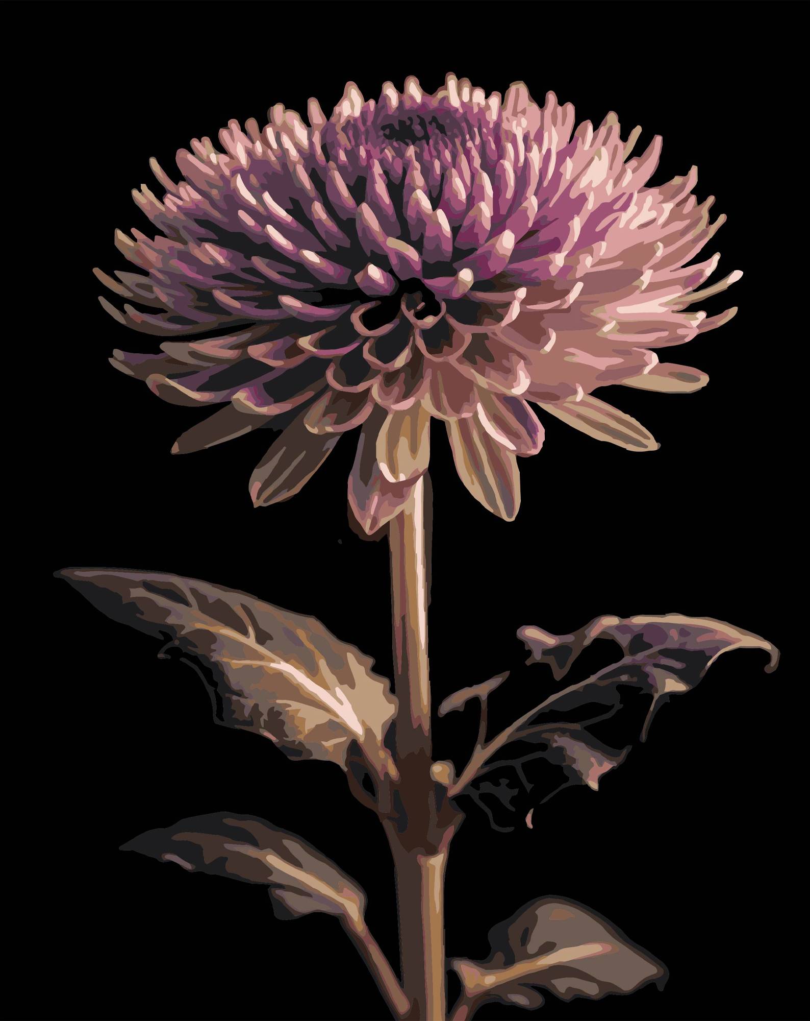 Картина по номерам Strateg Георгина 40х50 (AH1291) - Фото 1