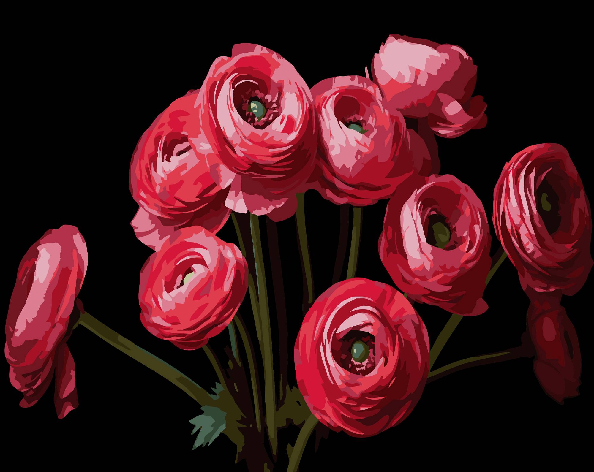 Картина по номерам Strateg Букет ранункулюсов 40х50 (AH1260) - Фото 1