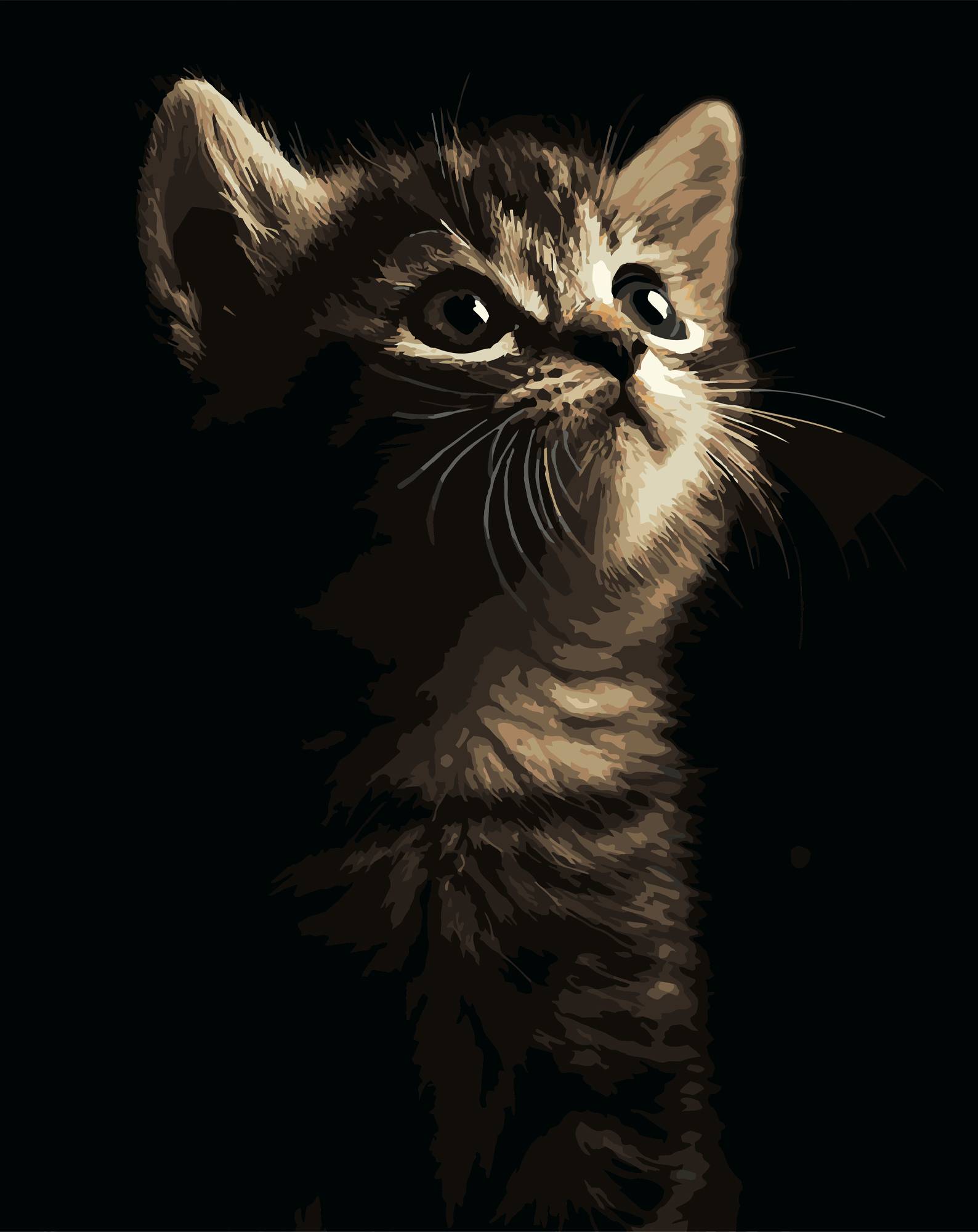 Картина по номерам Strateg Маленький котенок 40х50 (AH1276) - Фото 1