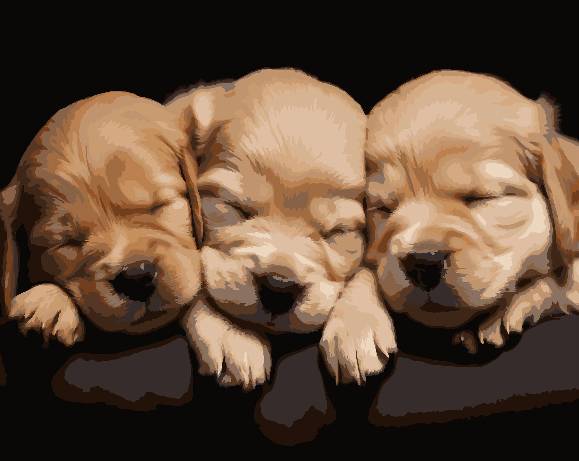 Картина по номерам Strateg Спящие песики 40х50 (AH1283) - Фото 1