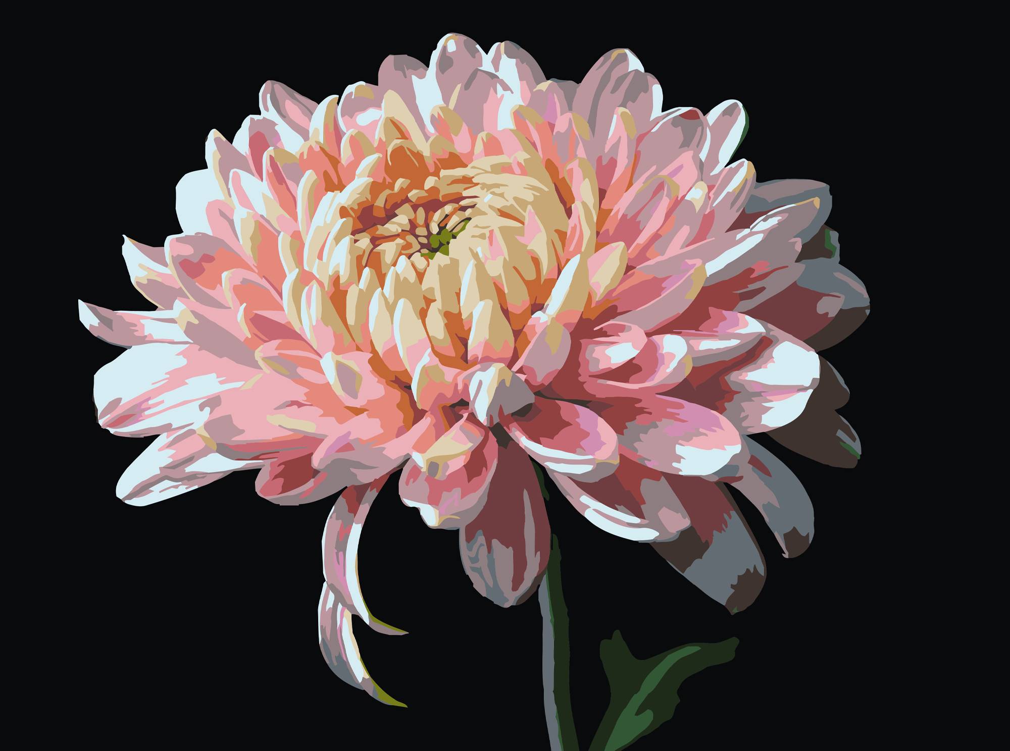 Картина за номерами Strateg Рожева хризантема на чорному фоні 30х40 (FH-23) - Фото 1