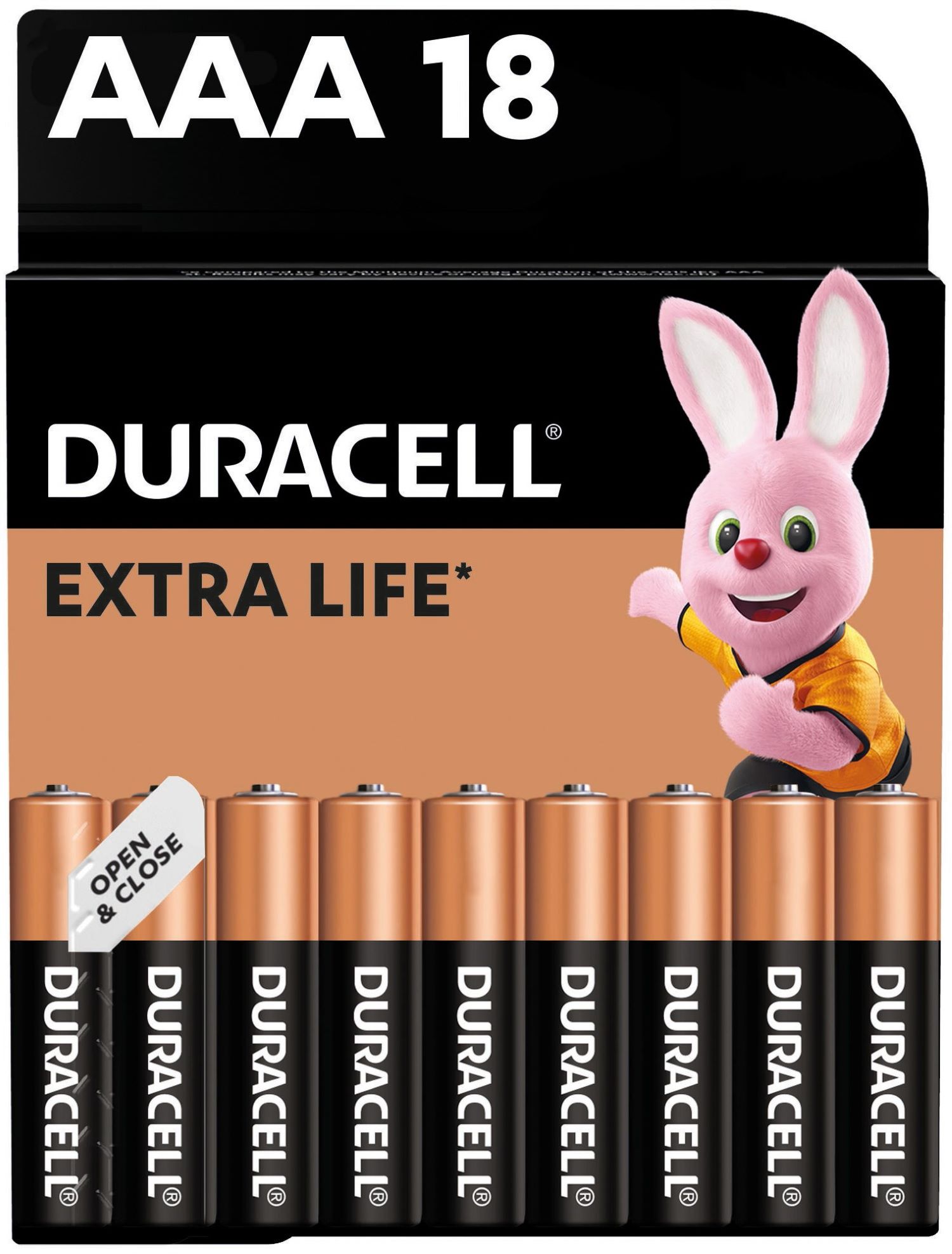Батарейка тип AAA Duracell MN2400 (LR03) 18 шт. (5002779) - Фото 1