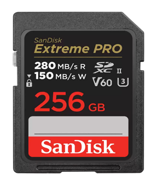 Карта памяти SanDisk Extreme PRO 256GB V60 UHS-II SD cards (SDSDXEP-256G-GN4IN) - Фото 1
