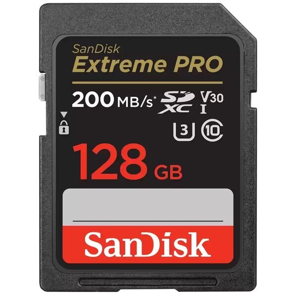 Карта памяти SanDisk Extreme PRO 128GB SDXC (SDSDXXD-128G-GN4IN) - Фото 1