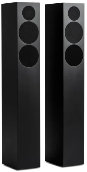 Купить Акустическая система Tone Factory Speaker L Satin Black - Фото 1 Акустическая система Tone Factory Speaker L Satin Black - Фото 1