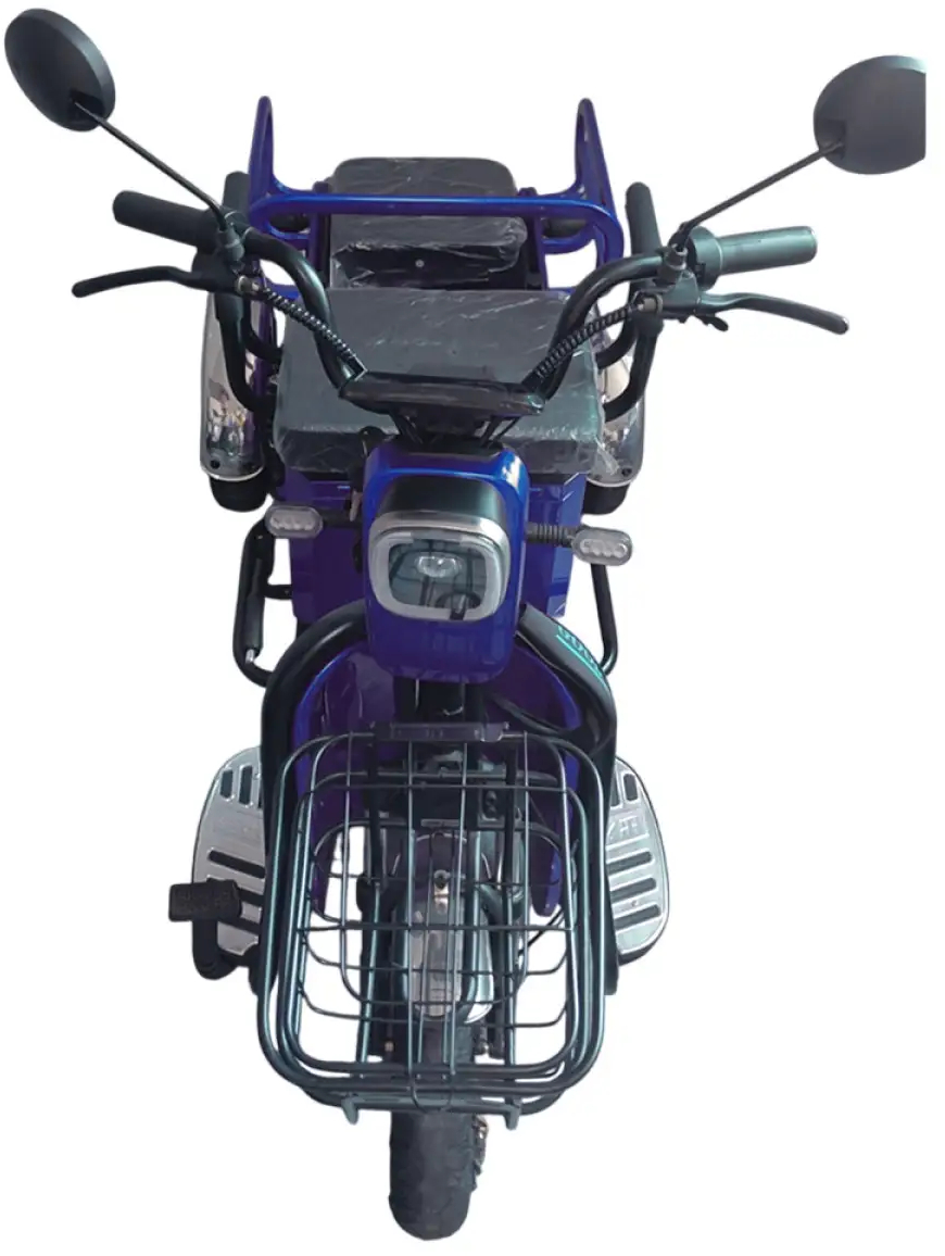 Трицикл Forte CARGO-WS600 Blue (+Аккумулятор 12V20A/25А 5 шт.) - Фото 1