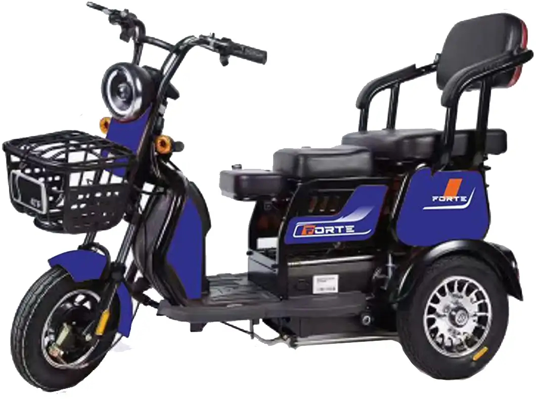 Трицикл Forte Family-WS600 Blue (+Аккумулятор 12V20A/25А 5 шт.) - Фото 1