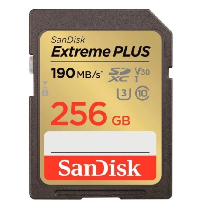 Карта памяти SanDisk Extreme Plus 256GB SDXC Memory Card + 2 years RescuePRO (SDSDXWV-256G-GNCIN) - Фото 1