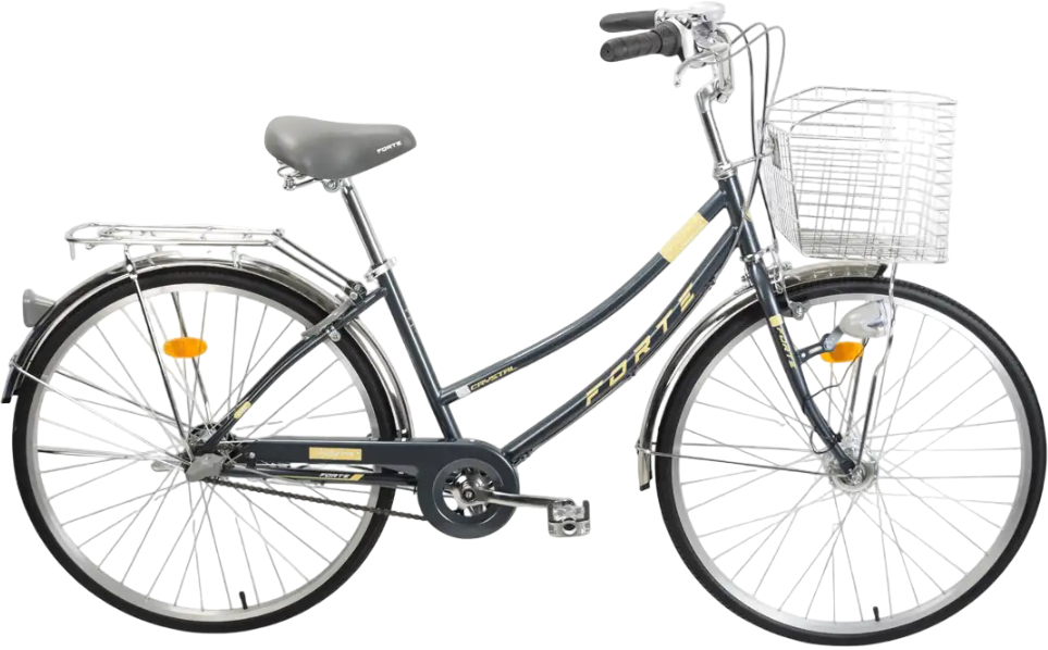 Купити Двоколісний велосипед Forte CRYSTAL Black+корзинка - Фото 1 Двоколісний велосипед Forte CRYSTAL Black+корзинка - Фото 1