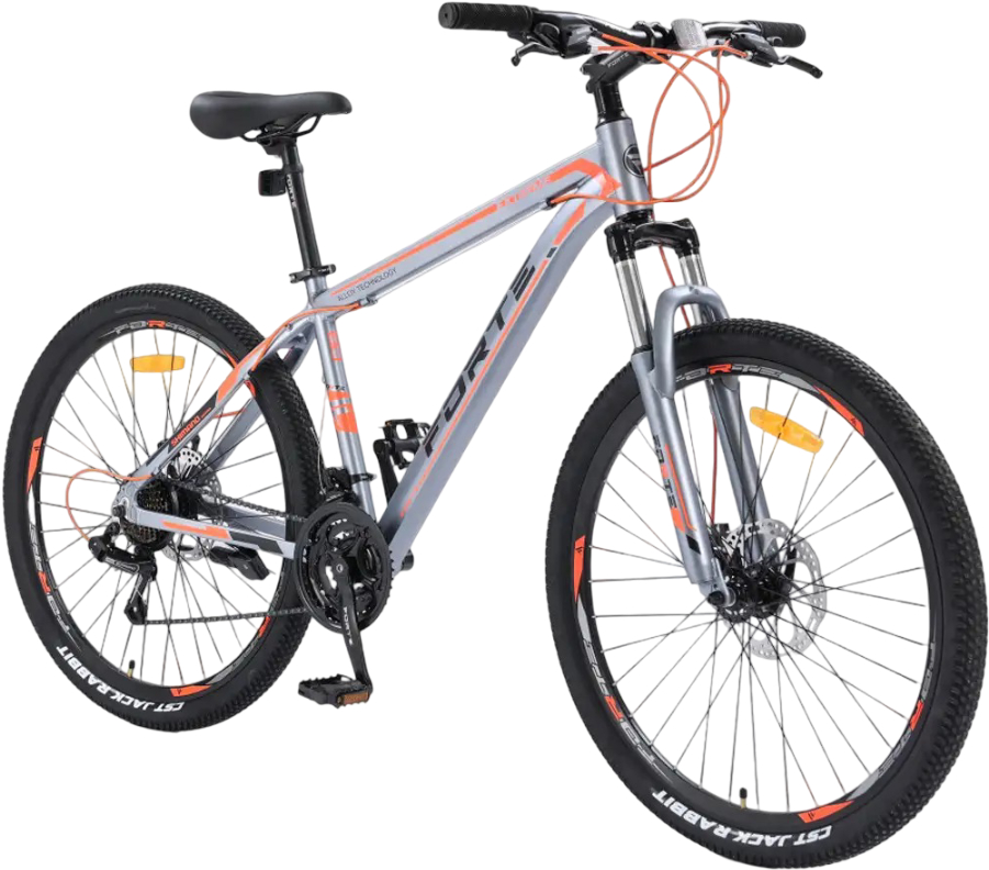 Купити Двоколісний велосипед Forte FIGHTER 12"/24" Gray - Фото 1 Двоколісний велосипед Forte FIGHTER 12"/24" Gray - Фото 1