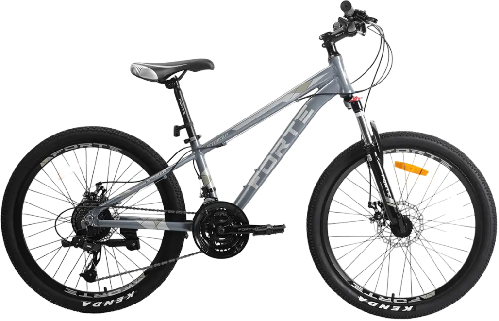 Купити Двоколісний велосипед Forte STRIKER 25.2613-14S Gray - Фото 1 Двоколісний велосипед Forte STRIKER 25.2613-14S Gray - Фото 1