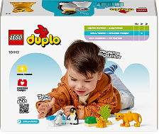 Сімейства диких тварин: Пінгвіни та Леви