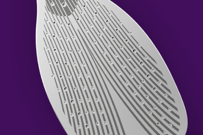 Фото Праска Philips GC4909/60 - 5