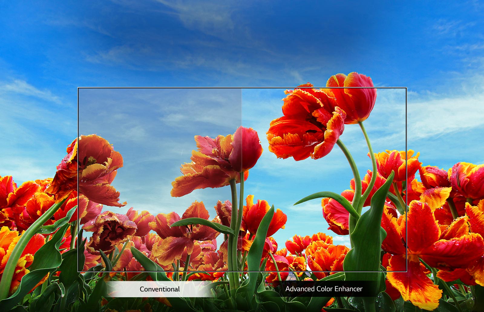 Телевизор LG 43LM6300PLA - 2 Фото Телевизор LG 43LM6300PLA - 2