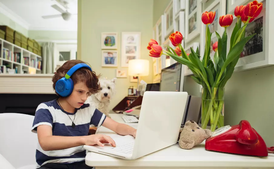 Фото Наушники TWS JBL JR 460NC 1