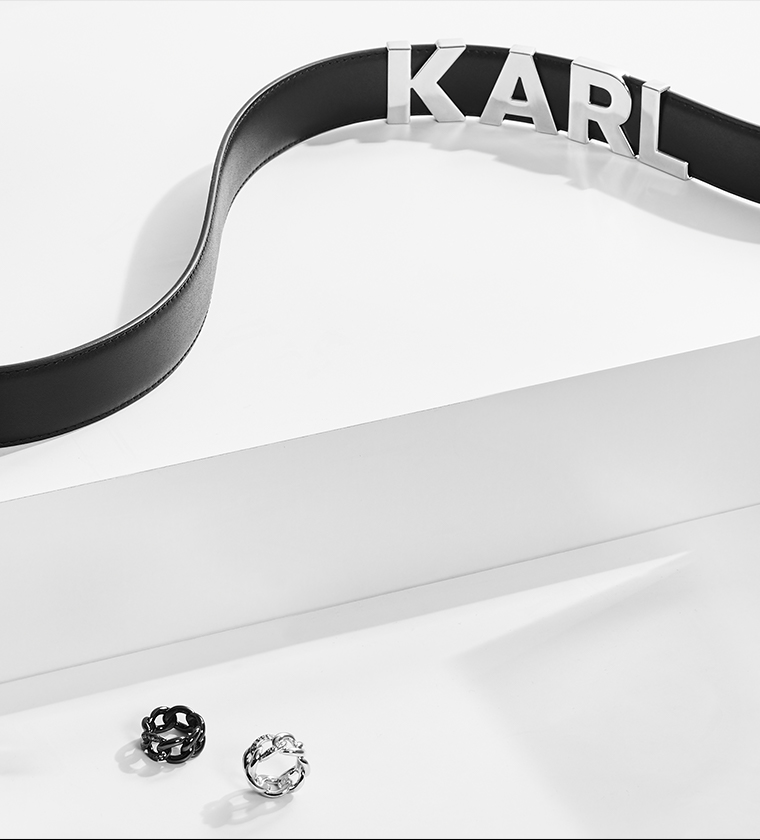 Rowenta x KARL LAGERFELD - 3 Фото Rowenta x KARL LAGERFELD - 3