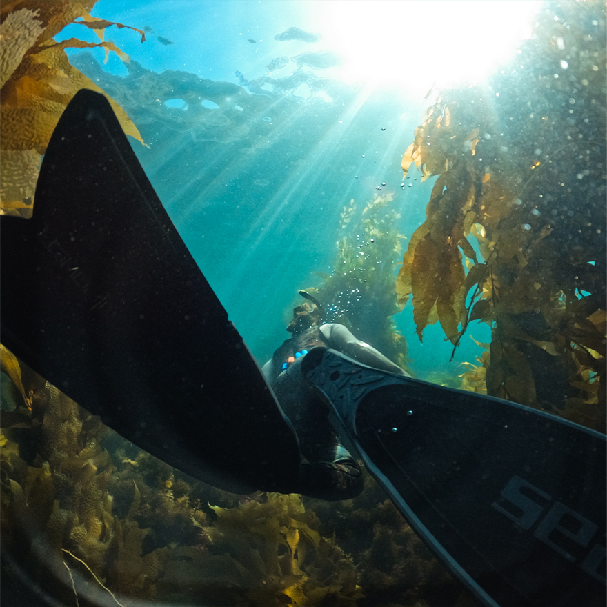 Екшн-камера GoPro HERO 11 Black - 10 Фото Екшн-камера GoPro HERO 11 Black - 10