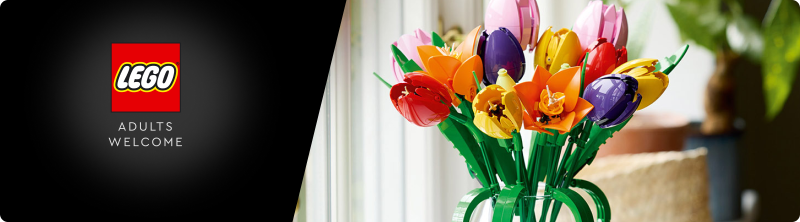 LEGO Adults Banner